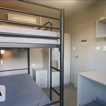 הוסטל בונדברג Palm Tree Backpackers מראה חיצוני תמונה