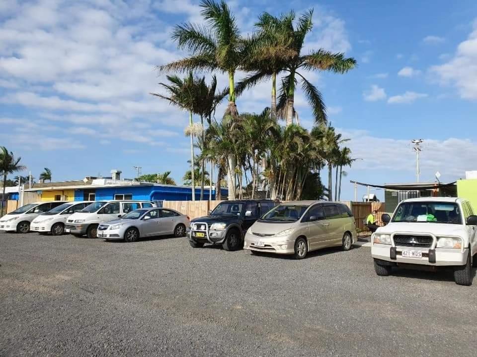 הוסטל בונדברג Palm Tree Backpackers מראה חיצוני תמונה