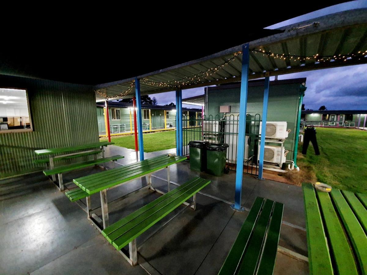הוסטל בונדברג Palm Tree Backpackers מראה חיצוני תמונה