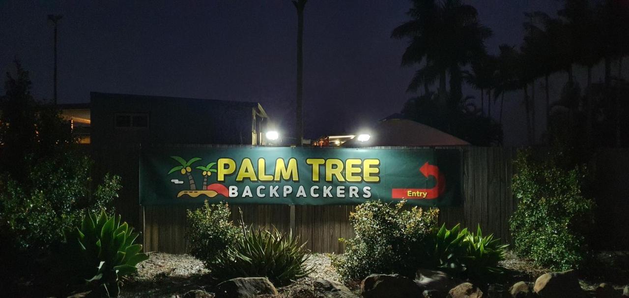 הוסטל בונדברג Palm Tree Backpackers מראה חיצוני תמונה