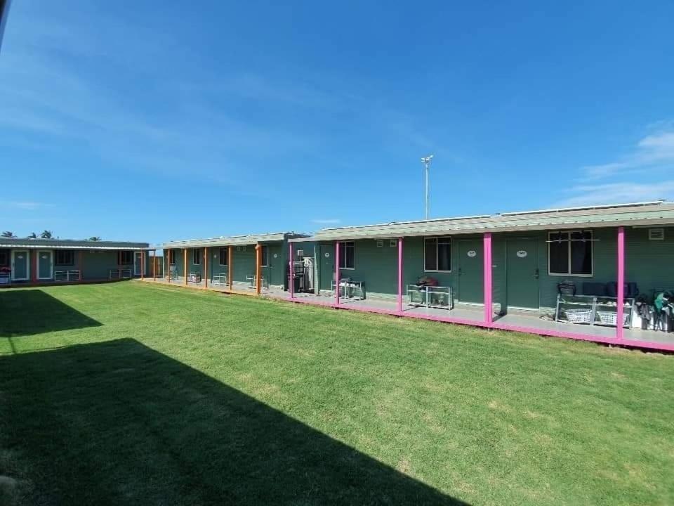 הוסטל בונדברג Palm Tree Backpackers מראה חיצוני תמונה