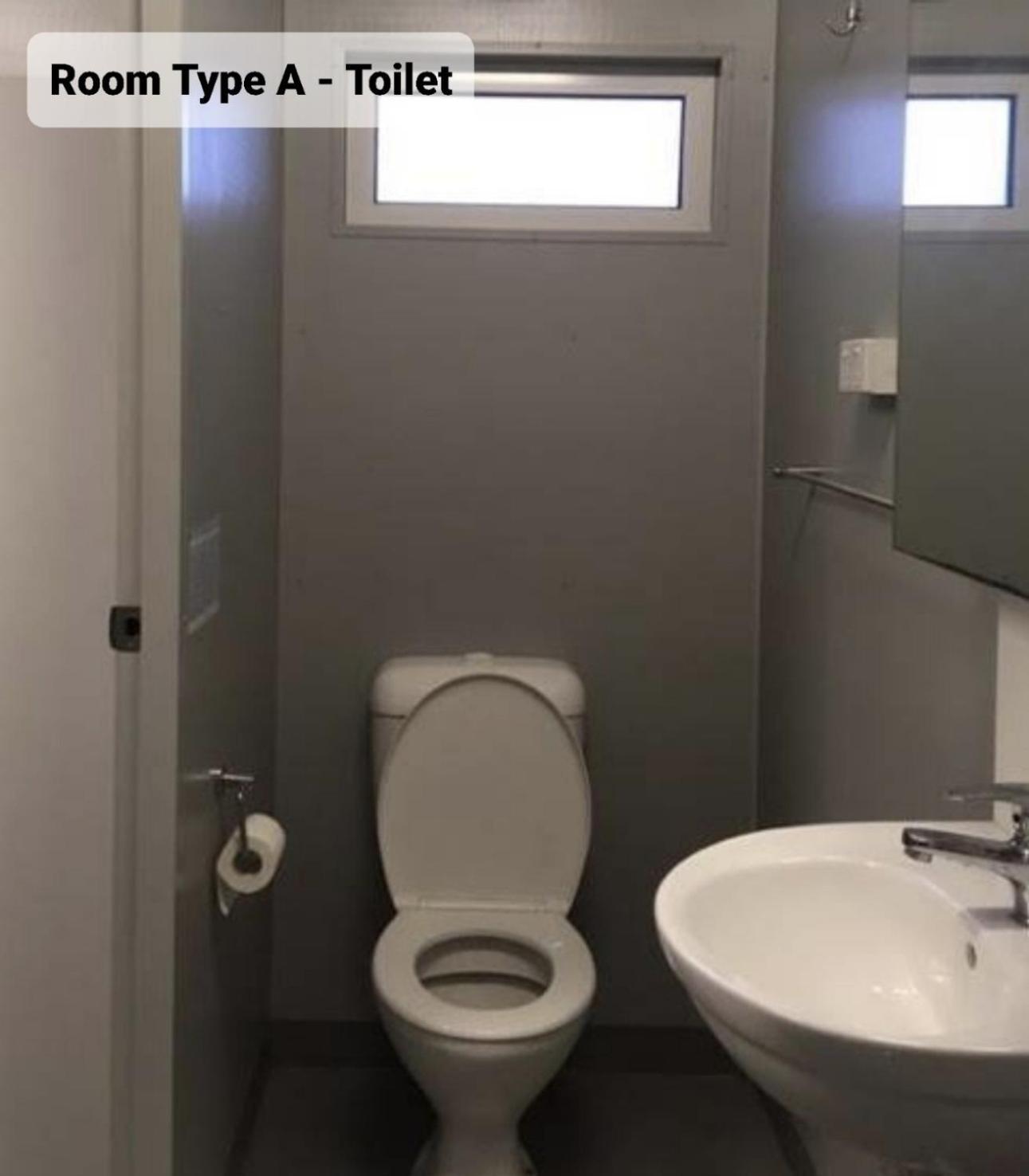 הוסטל בונדברג Palm Tree Backpackers מראה חיצוני תמונה